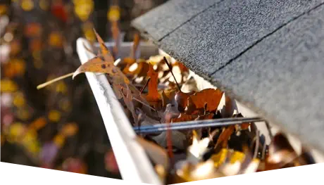 Home 5 service-image