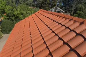 Home 12 Red clay roof tiles on residential house