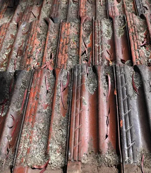 Old weathered clay roof tiles with moss