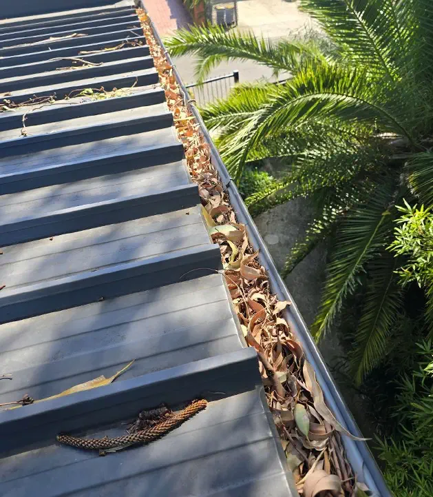 Before-Roof-Repair-Vicroofing2 Before-Roof-Repair-Vicroofing2