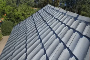 Home 11 Gray tiled roof against green tree background
